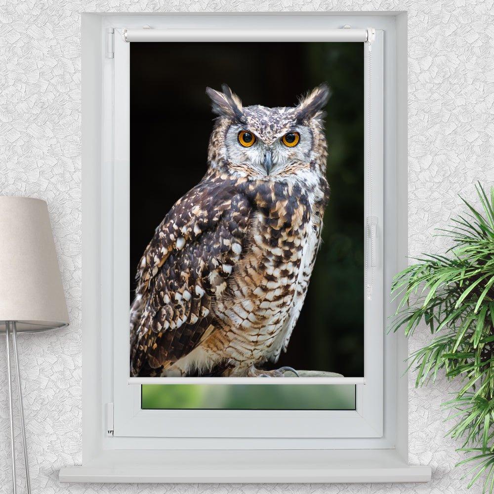 Rollo Motiv "Wald Eule" - ohne bohren - Klemmrollo bis 150 cm Breite - Klemmfix mit Fotodruck - blickdicht - La-Melle