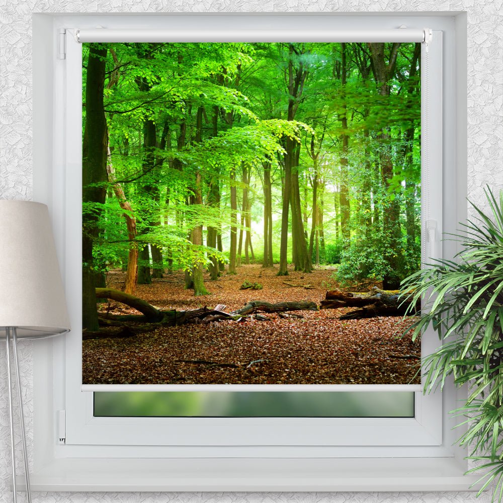 Rollo Motiv "Wald Weg Eichen Laubwald Laub" - ohne bohren - Klemmrollo bis 150 cm Breite - Klemmfix mit Fotodruck - blickdicht - La-Melle