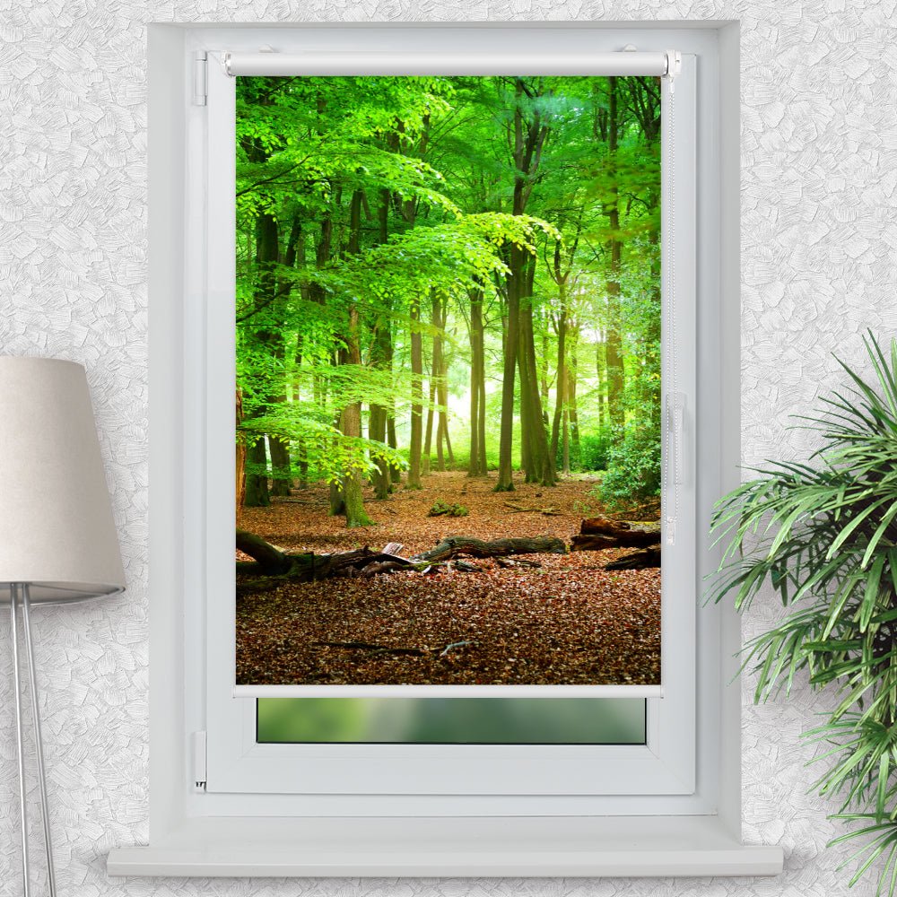 Rollo Motiv "Wald Weg Eichen Laubwald Laub" - ohne bohren - Klemmrollo bis 150 cm Breite - Klemmfix mit Fotodruck - blickdicht - La-Melle