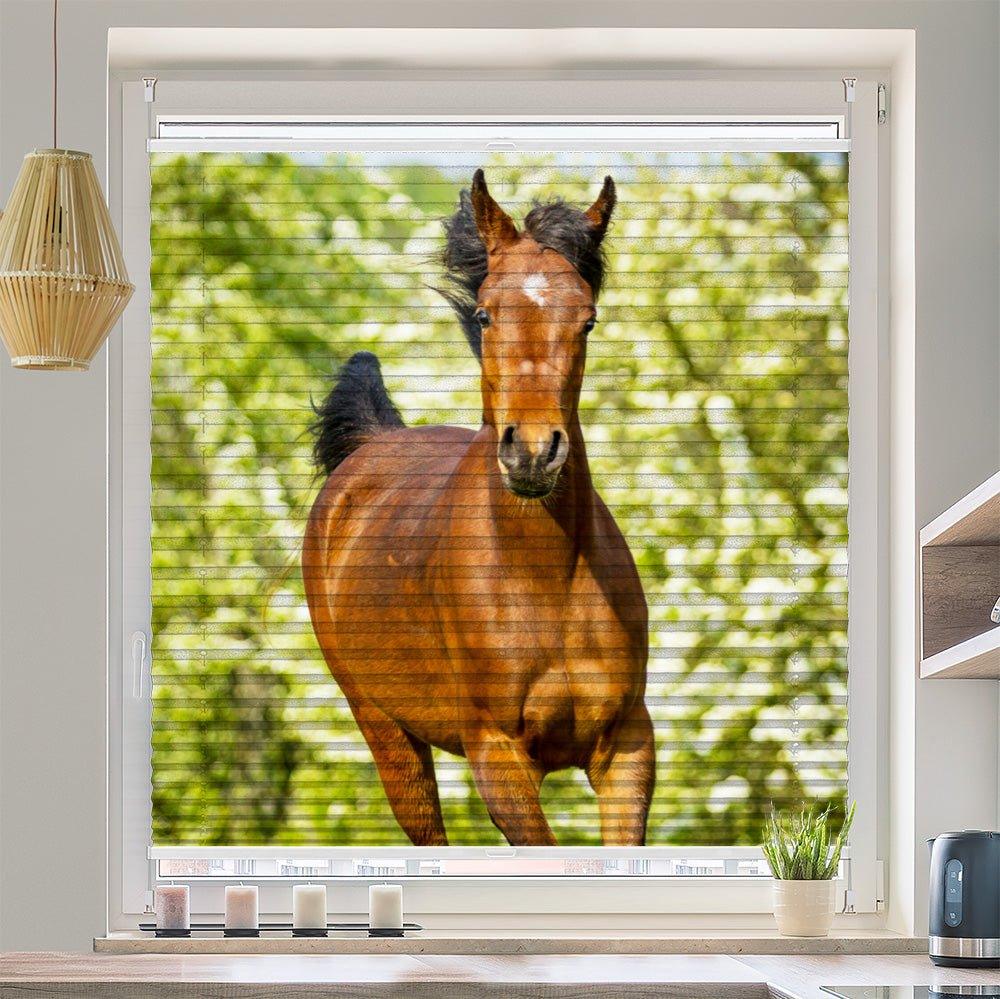 Wabenplissee Motiv "Araber Fohlen Wiese" - La-Melle