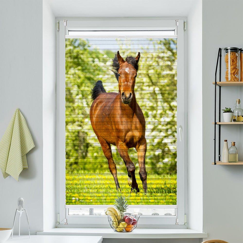 Plissee Motiv "Araber Fohlen"