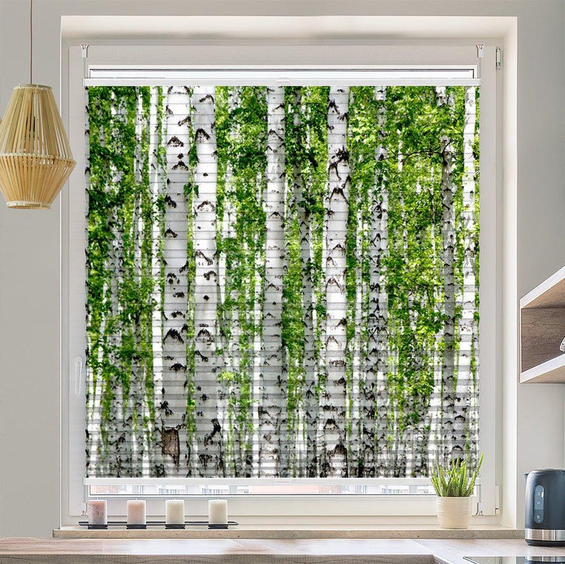 Wabenplissee Motiv "Birken Wald Baeume" - La-Melle