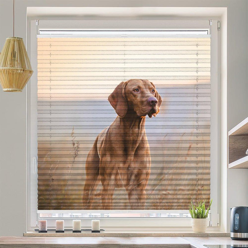 Wabenplissee Motiv "Jagdhund Vizsla Feld" - La-Melle