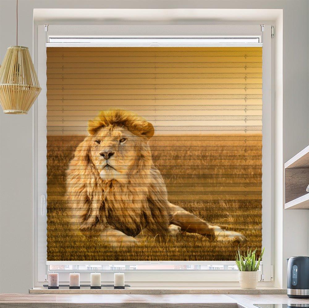 Plissee Motiv "Löwe Afrika Savanne" - La-Melle