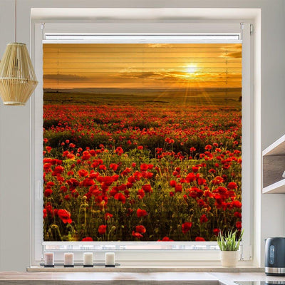 Plissee Motiv Mohnblumen Feld
