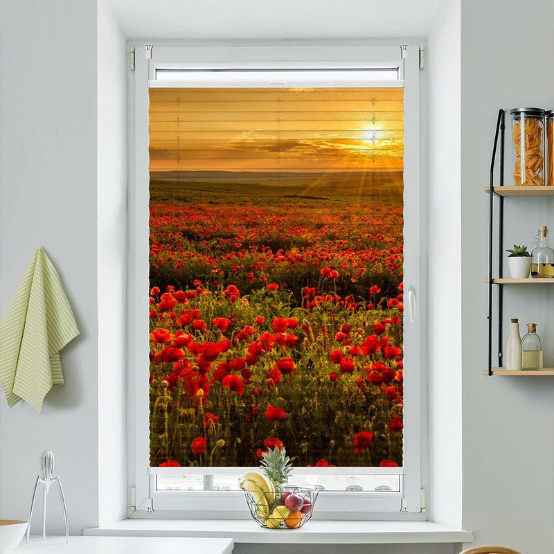 Plissee Motiv "Mohnfeld Sonnenuntergang" - La-Melle