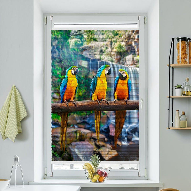 Wabenplissee Motiv "Papageien Urwald Wasserfall" - La-Melle