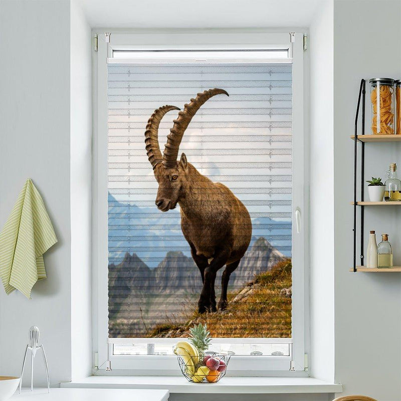 Plissee Motiv "Steinbock Alpen" - La-Melle