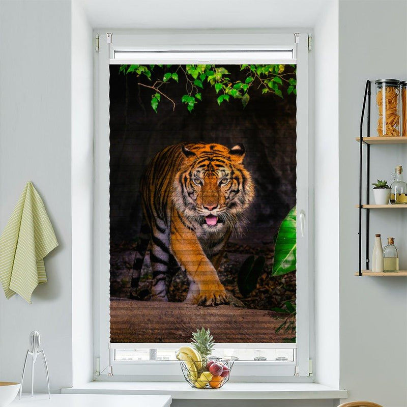 Plissee Motiv "Tiger Indien" - La-Melle