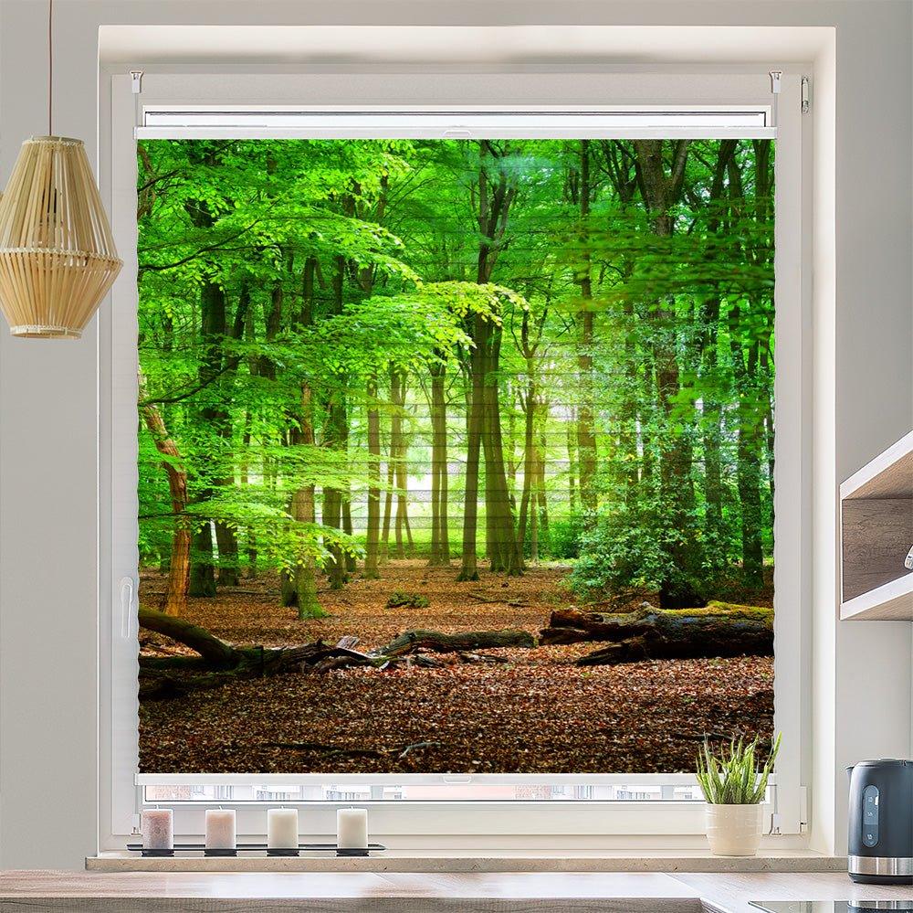 Wabenplissee Motiv "Wald Weg Eichen Laub" - La-Melle