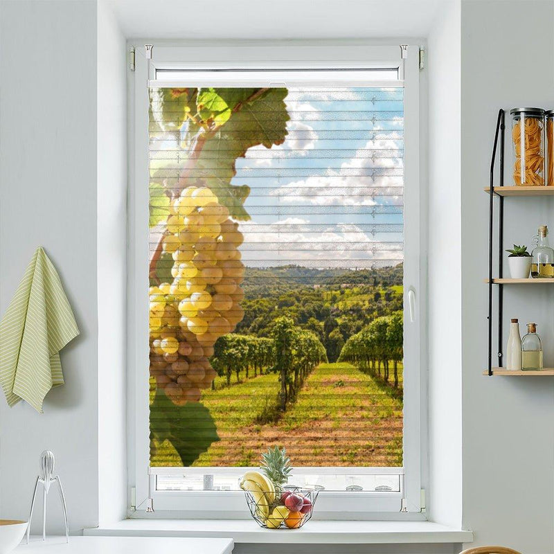 Plissee Motiv "Weinberg Reben" - La-Melle