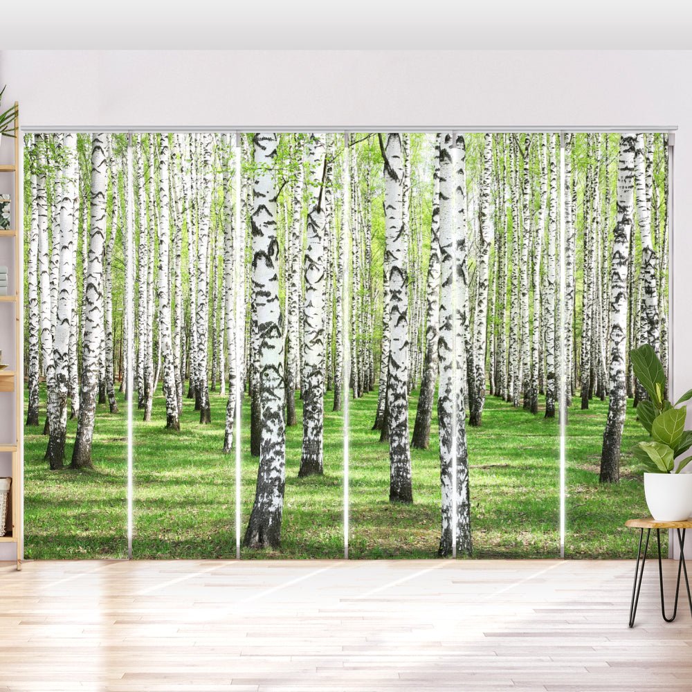 Schiebegardine Motiv "Birkenwald Sommer" - La-Melle