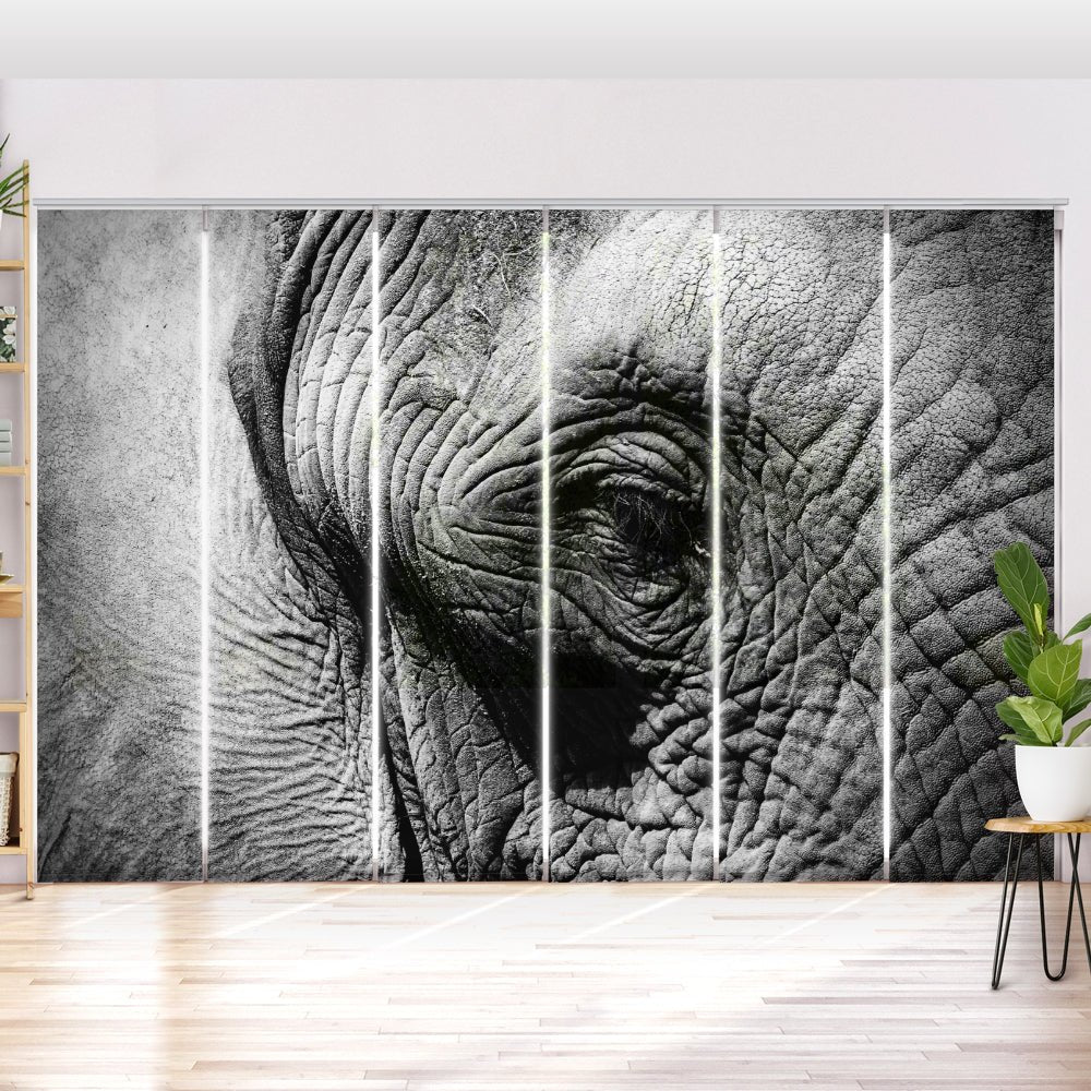 Schiebegardine Motiv "Elefant Nahaufnahme" - La-Melle