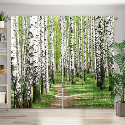 Vorhang Motiv Birkenwald Weg - La-Melle