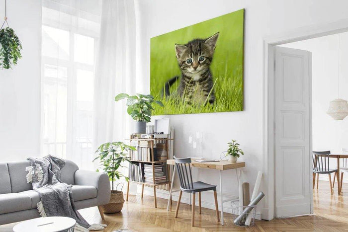 Alu-Spannbild - Tausch die Bilder aus - hol den Frühling ins Haus - La-Melle