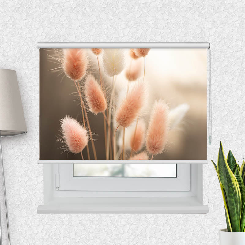 Fotorollo Flauschiges Hasenschwanzgras