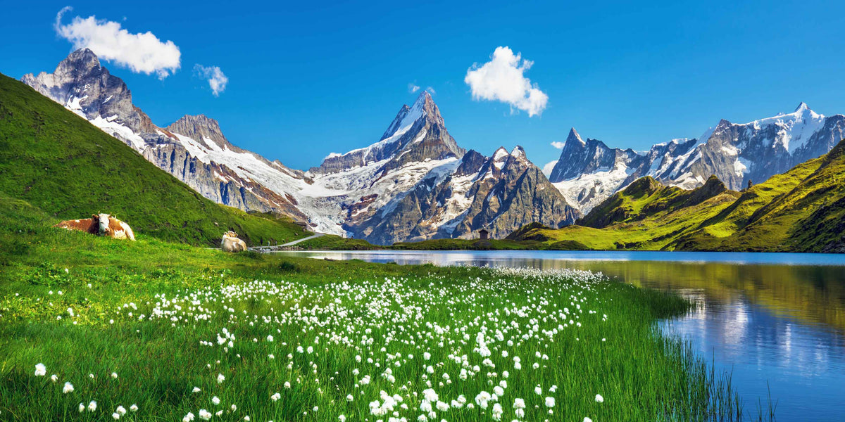 Motiv "Schweizer Alpen Bachalpsee" – Vorlage für individuell bedruckte Fensterdekoration von La-Melle