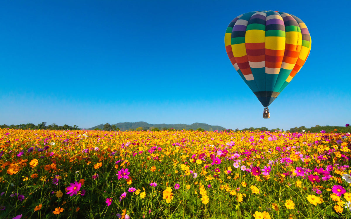 Motiv "Blumenwiese Ballon" – Vorlage für individuell bedruckte Fensterdekoration von La-Melle