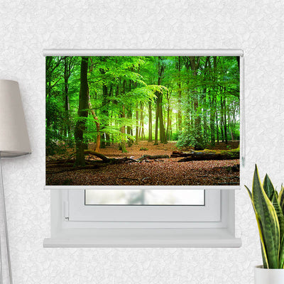 Fotorollo Wald mit Eichenlaub