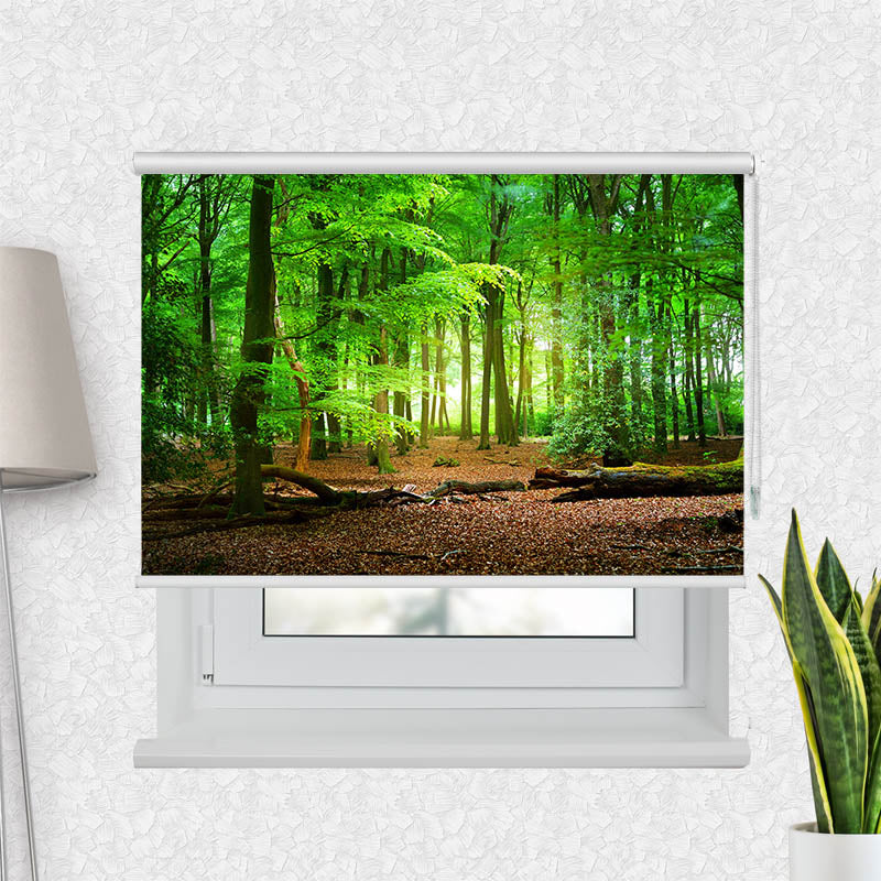 Fotorollo Wald mit Eichenlaub