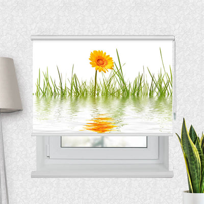 Fotorollo Gras im Wasser