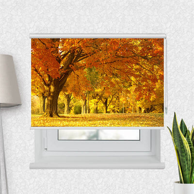 Fotorollo Allee im Herbst