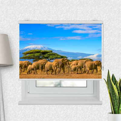 Fotorollo Elefanten Am Kilimandscharo