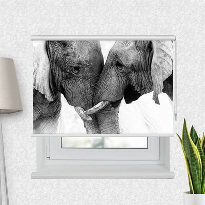 Fotorollo Afrika Lefanten