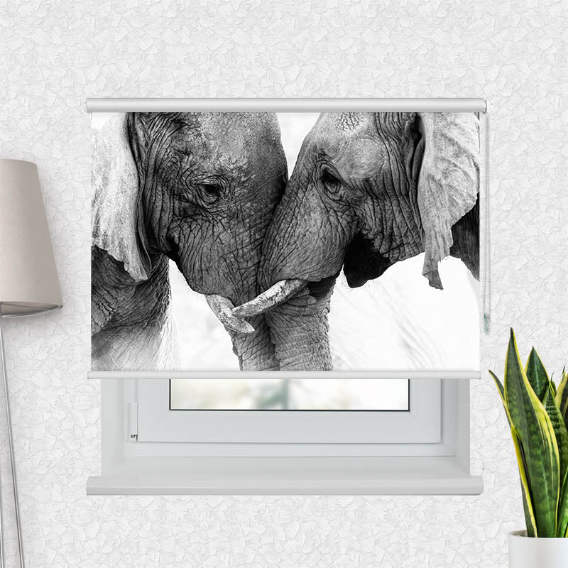 Fotorollo Afrika Lefanten