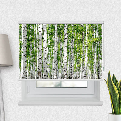 Fotorollo Birkenwald