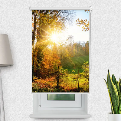 Motivrollo Herbstlandschlaft | Bis B 430 x H 440 cm