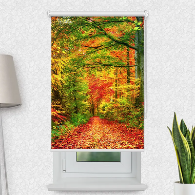 Motivrollo Weg Im Herbstwald | Bis B 430 x H 440 cm