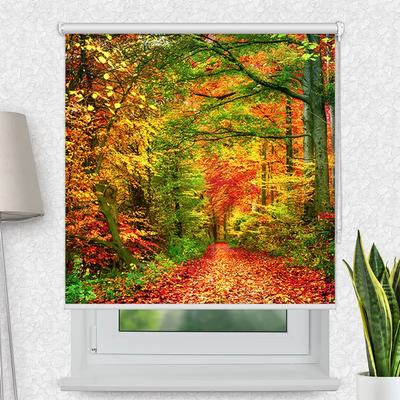 Motivrollo Weg Im Herbstwald | Bis B 430 x H 440 cm