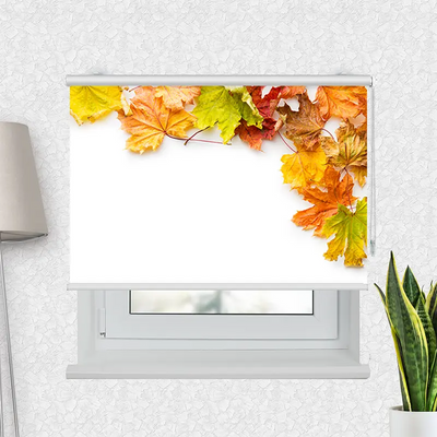 Motivrollo Herbstlaub | Bis B 430 x H 440 cm