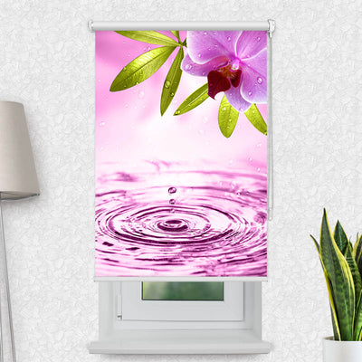 Fotorollo Pinke Orchidee mit Wassertropfen