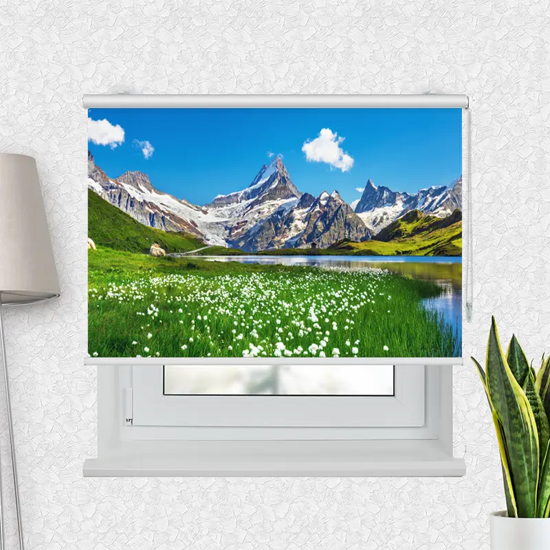 Fotorollo Schweizer Alpen Bachalpsee