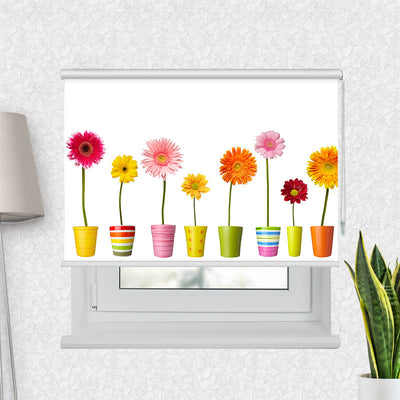 Fotorollo Bunte Topfblumen