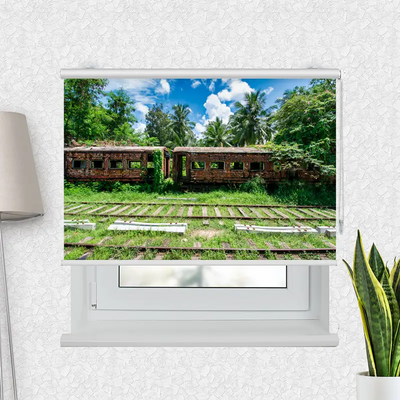 Fotorollo Alter Zug Im Dschungel