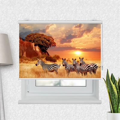 Fotorollo Zebras In Afrikas Savanne