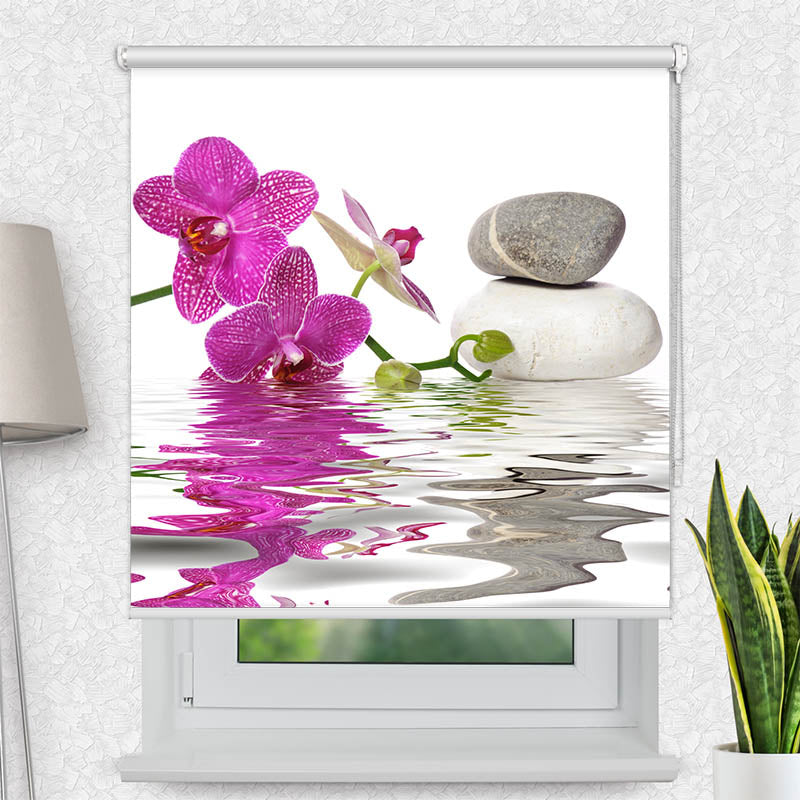 Fotorollo Wasser Orchidee Steine