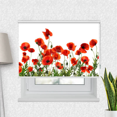 Fotorollo Mohnblumen Weisser Hintergrund