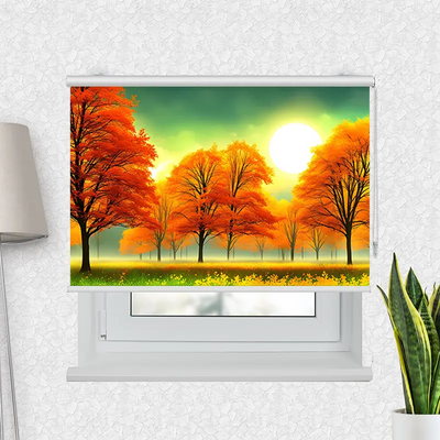 Motivrollo Herbstwald Sonnenschein | Bis B 430 x H 440 cm