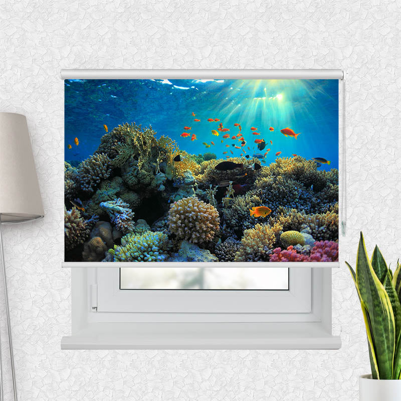 Fotorollo Fische im Ozean