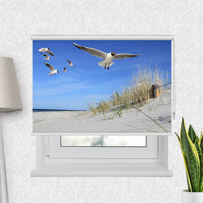 Fotorollo Moewen am Strand