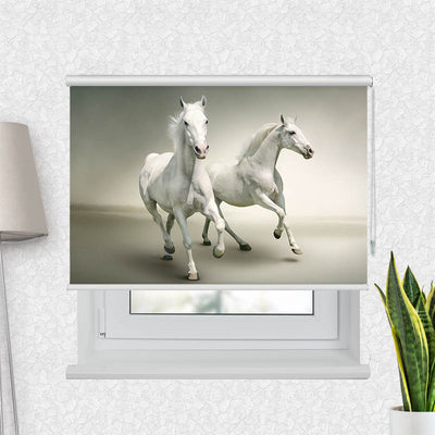 Fotorollo Pferde Schimmel