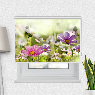 Fotorollo Blumen Bluehen auf Wiese