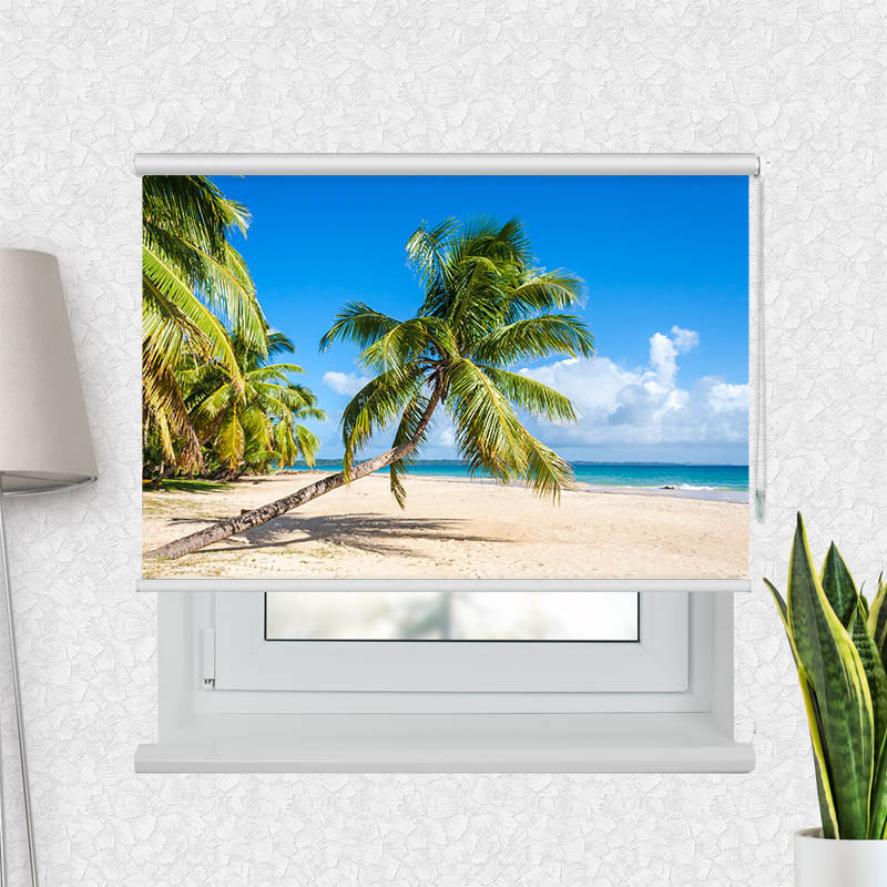 Fotorollo Palme Meer Urlaub