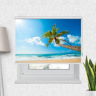 Fotorollo Palme Meer