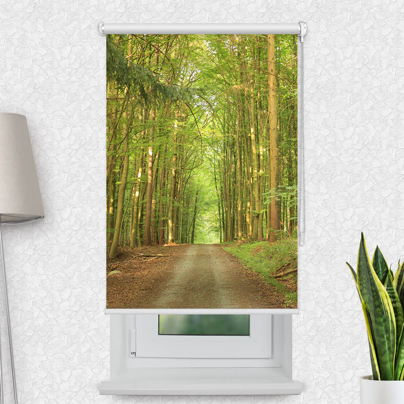 Fotorollo Bambuswald Weg