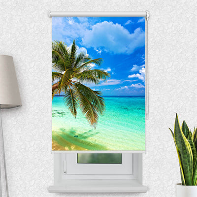 Fotorollo Palme Meer